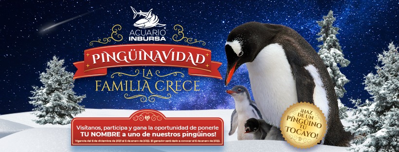 LA PINGÜINAVIDAD HA LLEGADO AL MAR DE LA CIUDAD Y QUEREMOS ANUNCIARLES QUE NUESTRA FAMILIA CRECE.